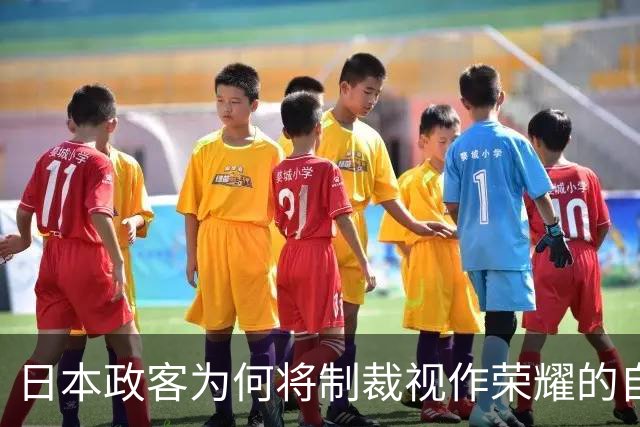 日本政客为何将制裁视作荣耀的自欺自爽？